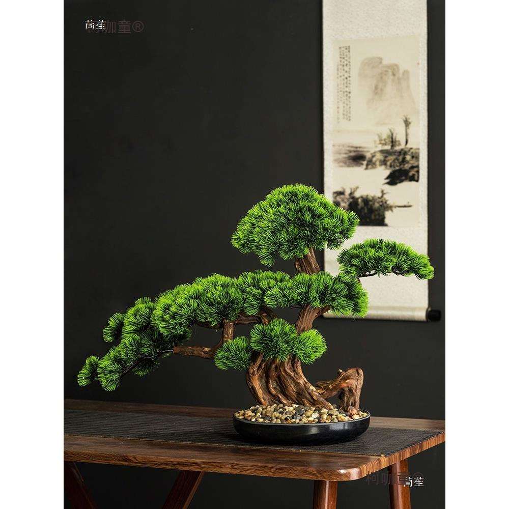 迎客松摆件酒店桌面装饰进门玄关柜台绿植盆景罗汉崖柏松麦太保