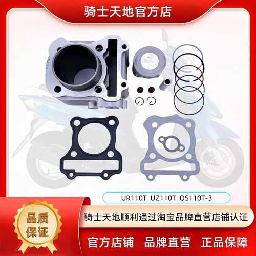 适用乐至UR110T丽至UZ110T 小海豚QS110T-3套缸中缸活塞环中修包