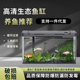 鳞语四季 鱼缸客厅小型生态亚克力一体成型桌面电视柜旁家用水族箱