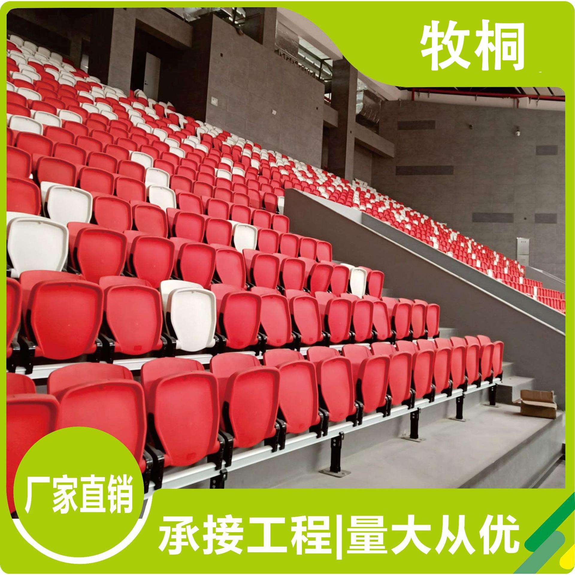 学校运动场伸缩观众看台座椅低靠背活动体育馆看台座椅固定座椅