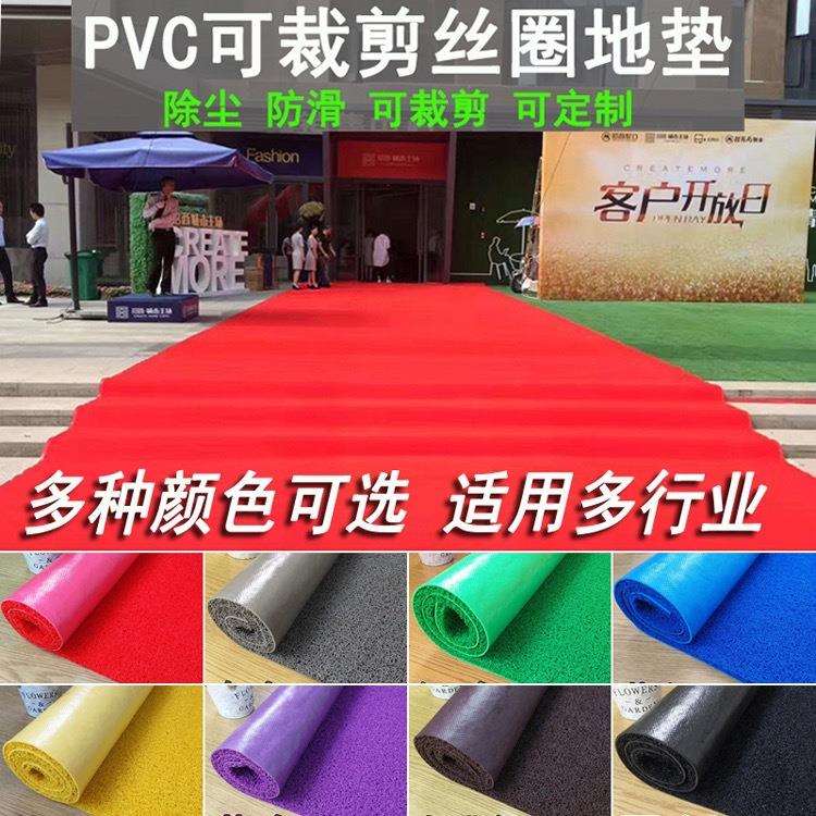 厂家直销3A丝圈地垫3G塑料PVC酒店迎宾红地毯门垫入户进门防水垫