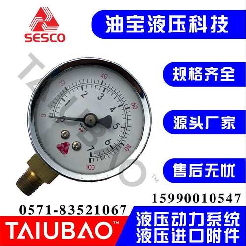 旋盖式压力表 SESCO压力表 sesco 佑德油压 顶新液压站
