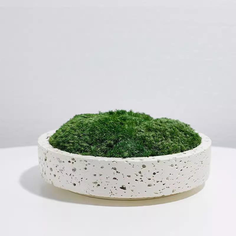 简约现代黑色花盆摆件仿真青苔绿植装饰客厅桌面酒店永生苔藓摆件