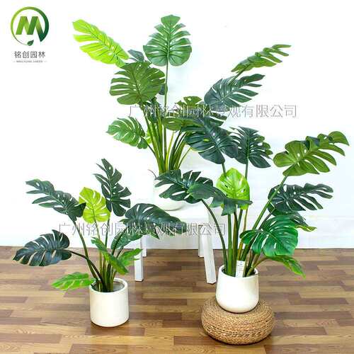热带雨林绿植高级仿真龟背叶 客厅植物大盆栽龟背竹大叶仿真绿植