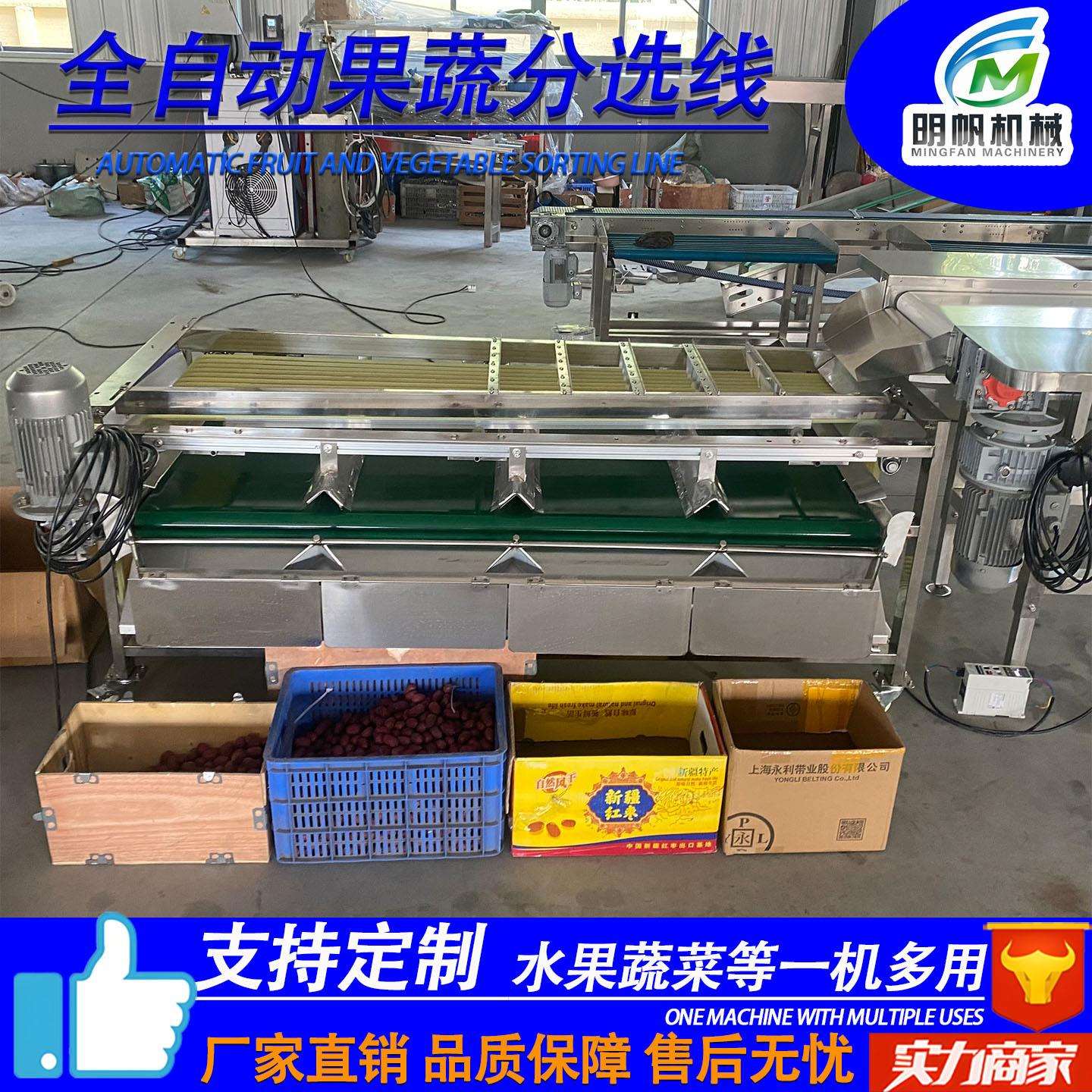 水果清洗风干挑选流水线 李子西梅分级设备 橙子柑橘分选打蜡机