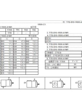 DENISON丹尼逊叶片泵T6D-014-1R01-C1 1R00 1R02 1R03 T6D-017