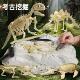 考古挖掘玩具恐龙化石骨架挖宝挖宝藏科教盲盒儿童益智玩具考古学