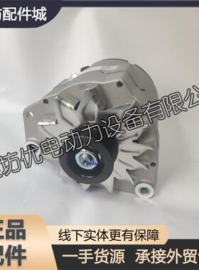 WP-FDJ发电机1000884973博杜安6M21发动机WP13柴油机WP17潍柴WP12