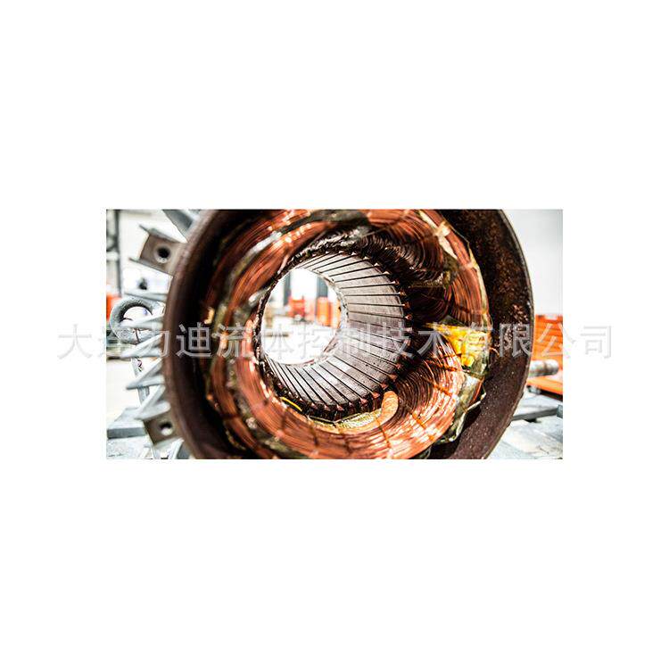 挪威Karsten Moholt交流旋转电机KM100-120-4p