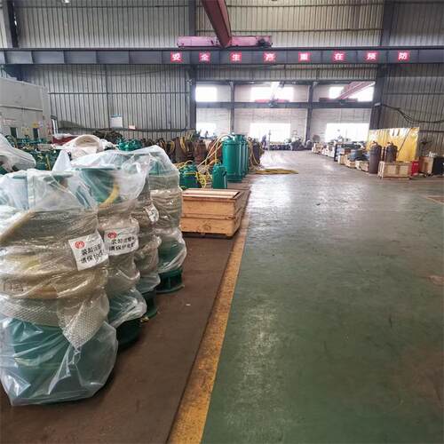 BQS200-100/2-110/N潜水泵 耐磨合金铸铁 BQS排沙排污潜水泵