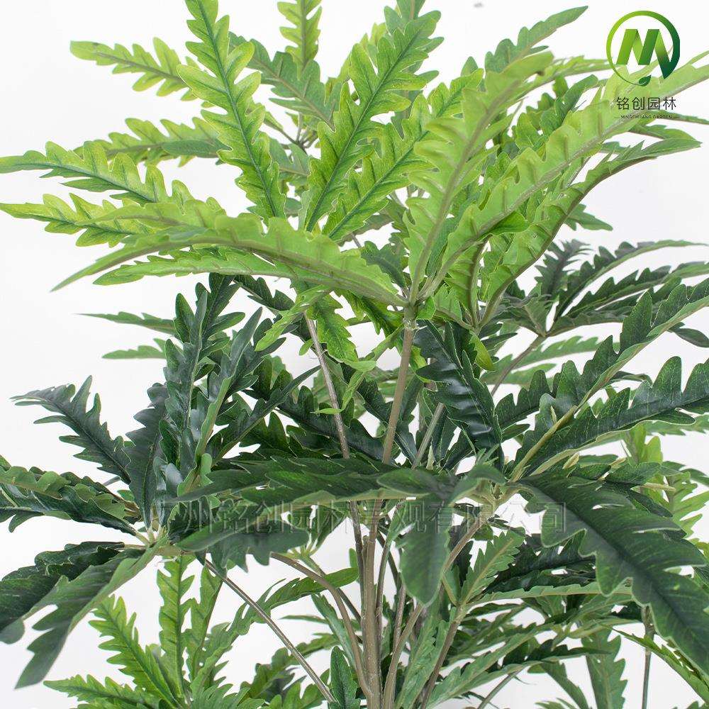 仿真植物客厅带盆孔雀木仿真绿植八角叶盆栽室内大型孔雀木绿植