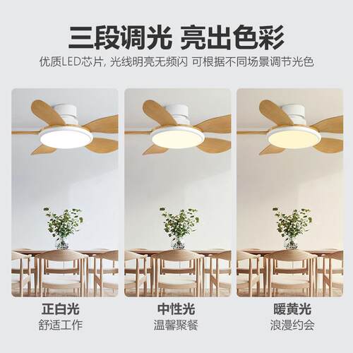 客厅卧室吊扇灯家用静音餐厅带电风扇的吊灯一体大风力吸顶风扇灯