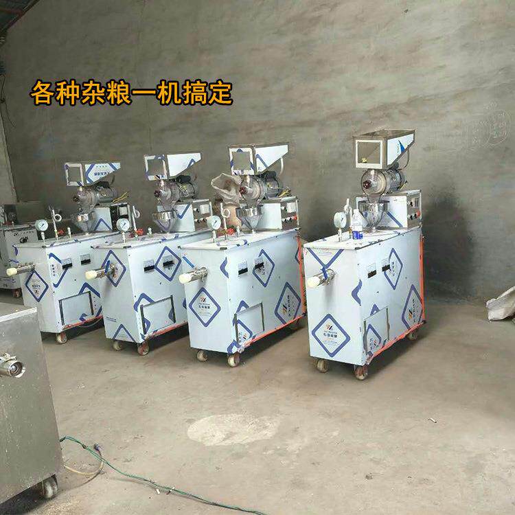 玉米碴子面条机五谷杂粮面条机米线机玉米颗粒面条机生产厂家