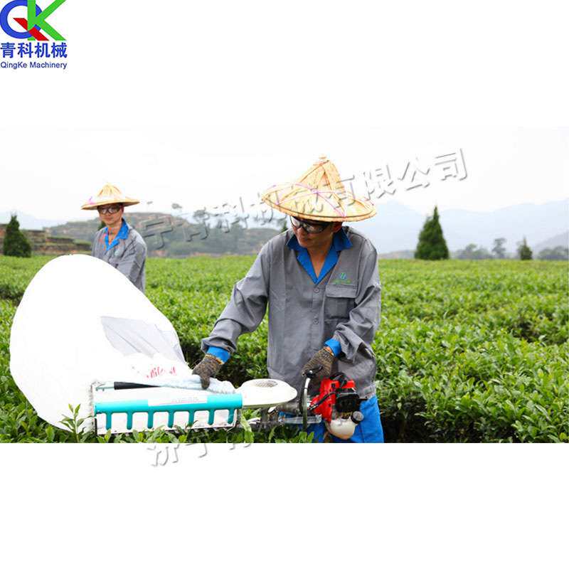 手持式单人采茶机 汽油动力背负式摘茶机 便携式二冲程绿篱机