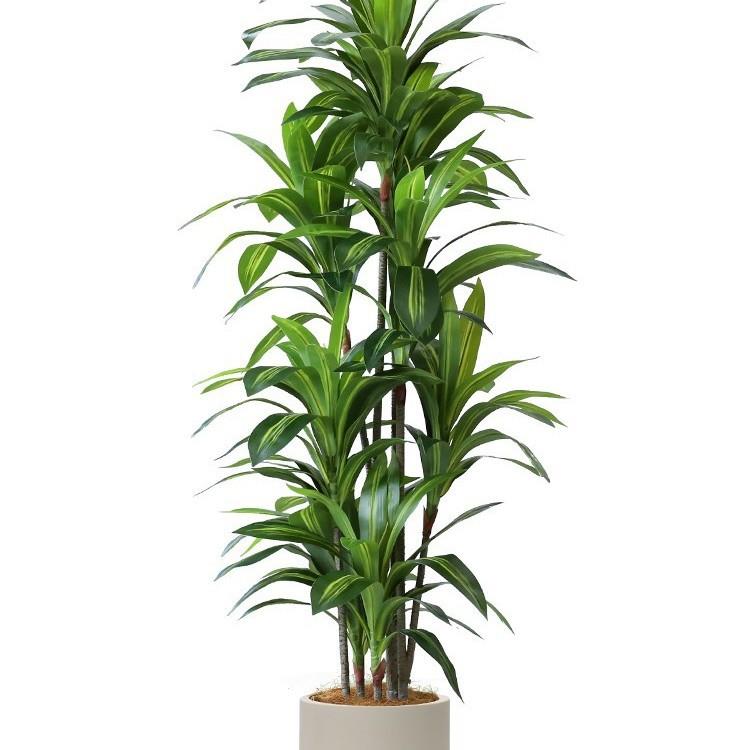 仿真绿植室内客厅大型巴西木盆栽落地假植物巴西铁装饰