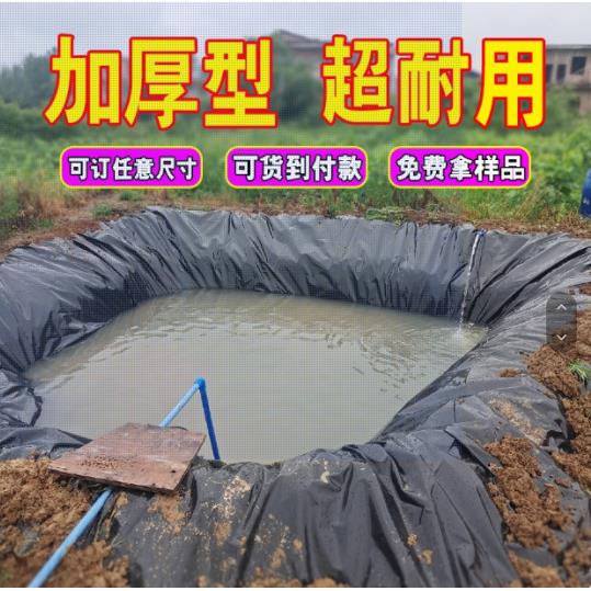 鱼塘防渗膜加厚土工膜黑色塑料膜地膜防漏水池塘防水布鱼池专用