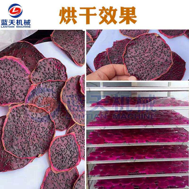小型商用火龙果烘干机 全自动火龙果干烘干箱 火龙果干片烘干设备
