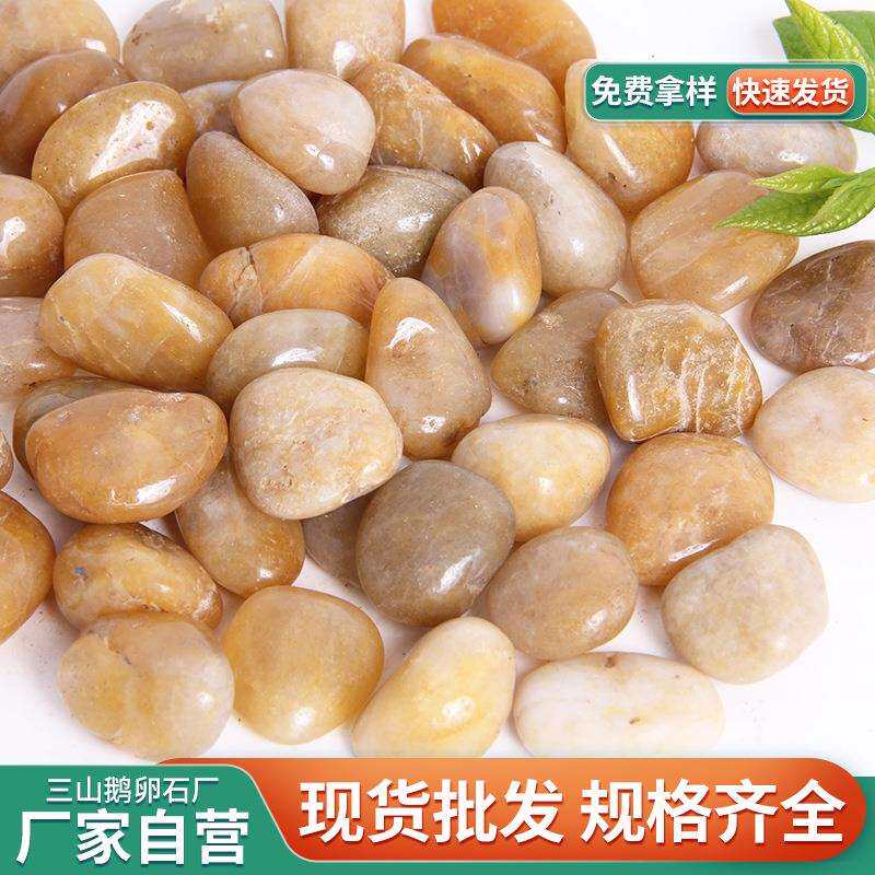 黄色抛光鹅卵石 工程铺路黄色石头园林景观鱼缸造景雨花石厂家