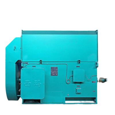 Y10006-10十极2500W10V大型高压电机磨机设备配套