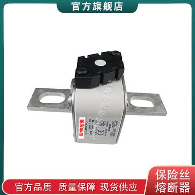 170M6600 6629 6652 6653 6681 巴斯曼bussmann快速熔断器保险丝