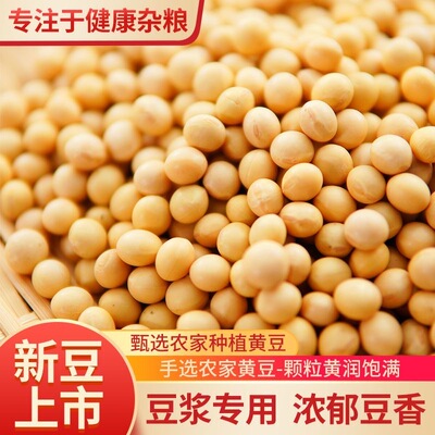 东北精选黄豆粒粒饱满豆浆专用