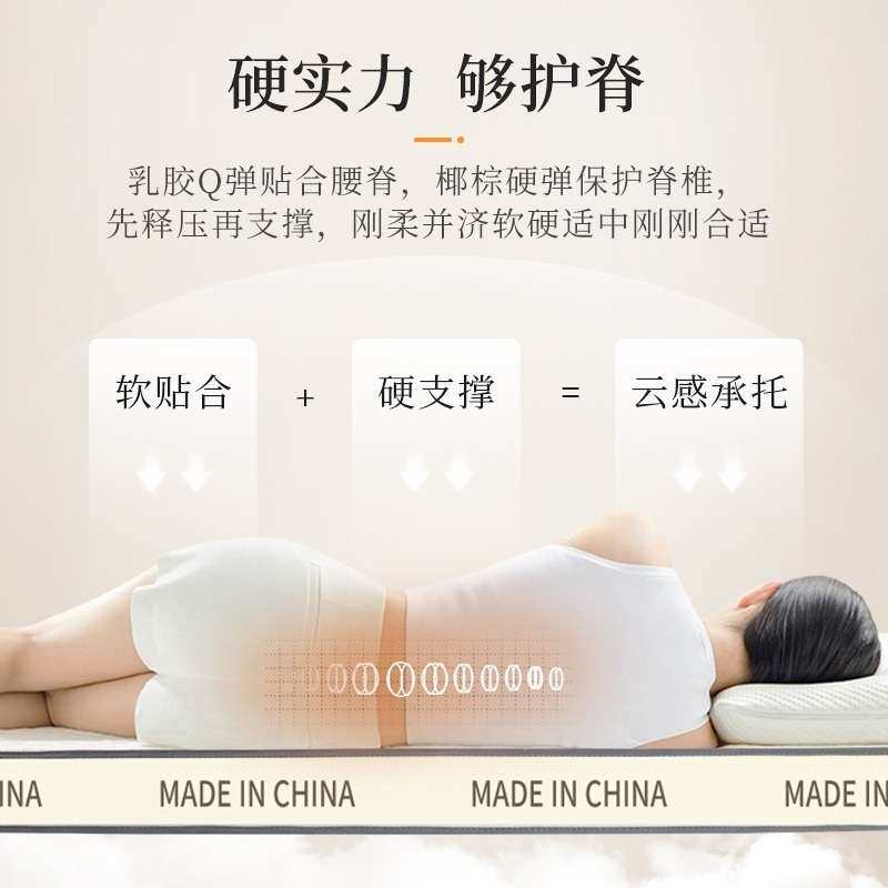 椰棕床垫遮盖物软垫家用床褥垫记忆棉学生宿舍租房榻榻米垫子