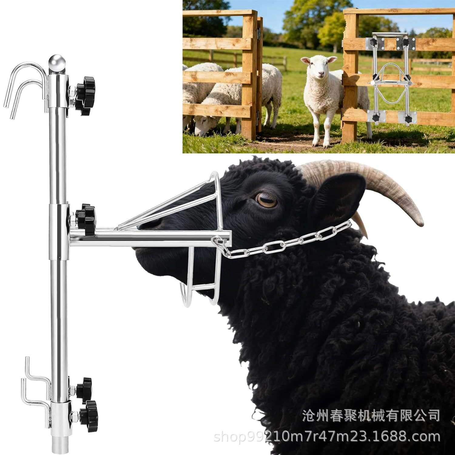 跨境304羊头固定架不锈钢羊头固定架羊剪毛打针可调节升降固定架