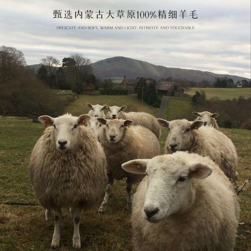 羊毛毯丨柔享流苏羊毛家居毯轻盈舒暖质感高雅沙发客厅