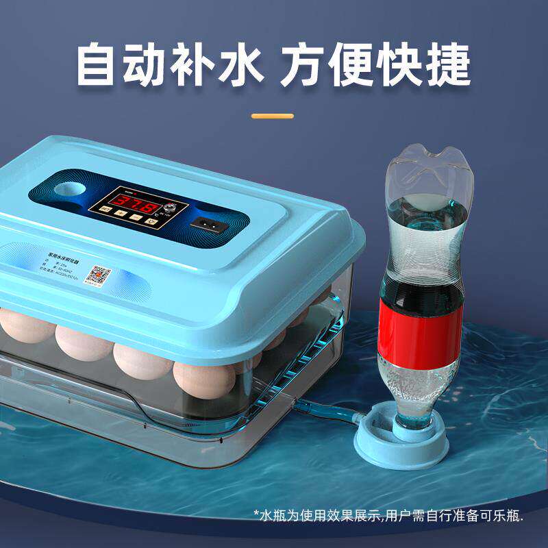 家用水床孵化器小型孵蛋器全自动智能孵化机芦丁小鸡孵化箱孵蛋机