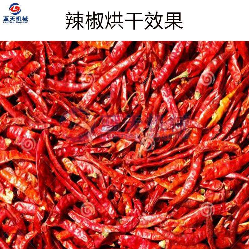 蘑菇蔬菜烘干机全自动 黄花菜辣椒羊肚菌烘干房 竹笋生姜烘干设备