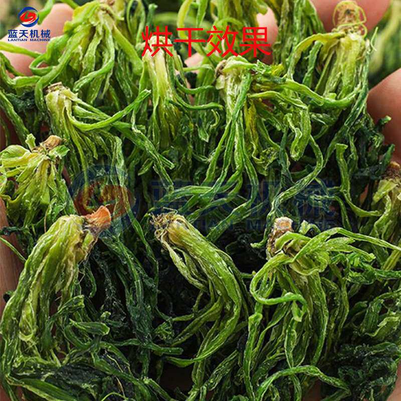 东北山野菜烘干机 空气能热泵山蕨菜脱水烘干房 苜蓿菜野菜烘干机