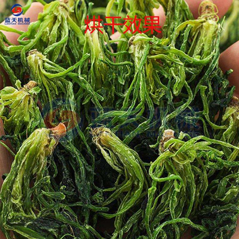 东北山野菜烘干机 空气能热泵山蕨菜脱水烘干房 苜蓿菜野菜烘干机