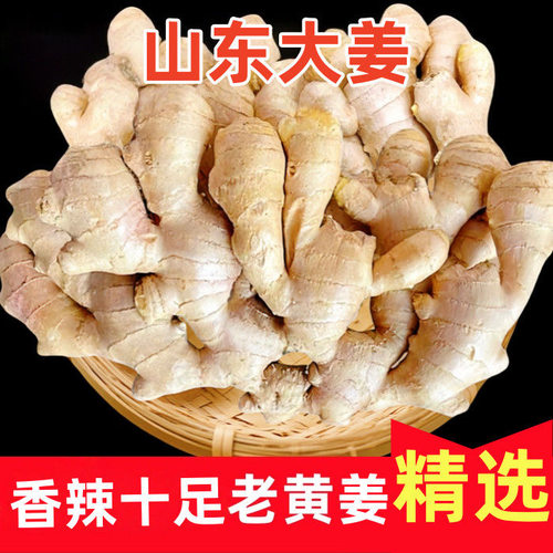 山东大姜新鲜当季新鲜农家自种产地直发高品质老姜母块
