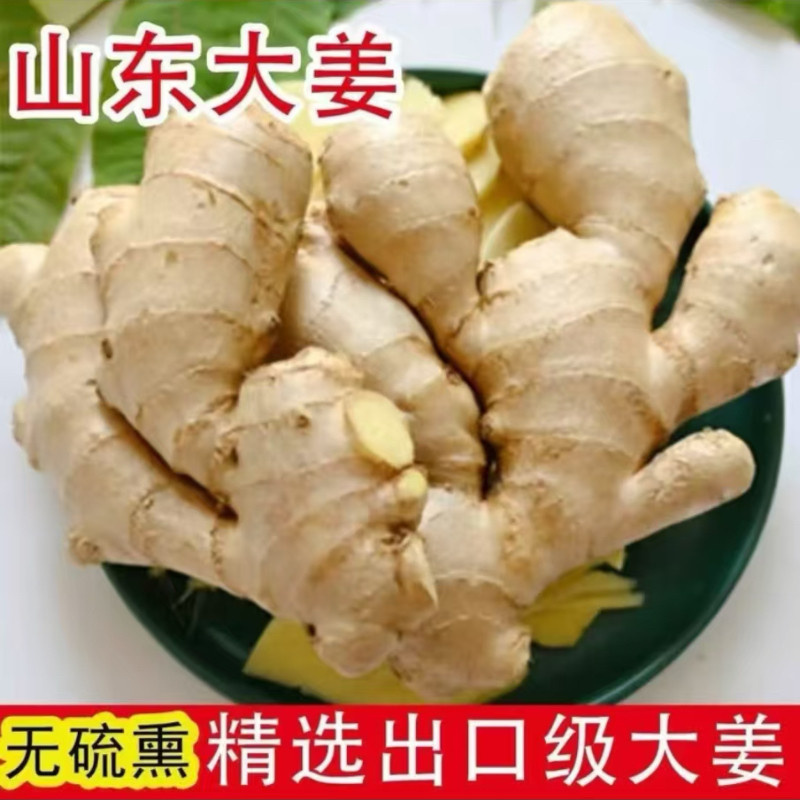 【新鲜】山东大黄姜老生姜农家自生姜/南姜
