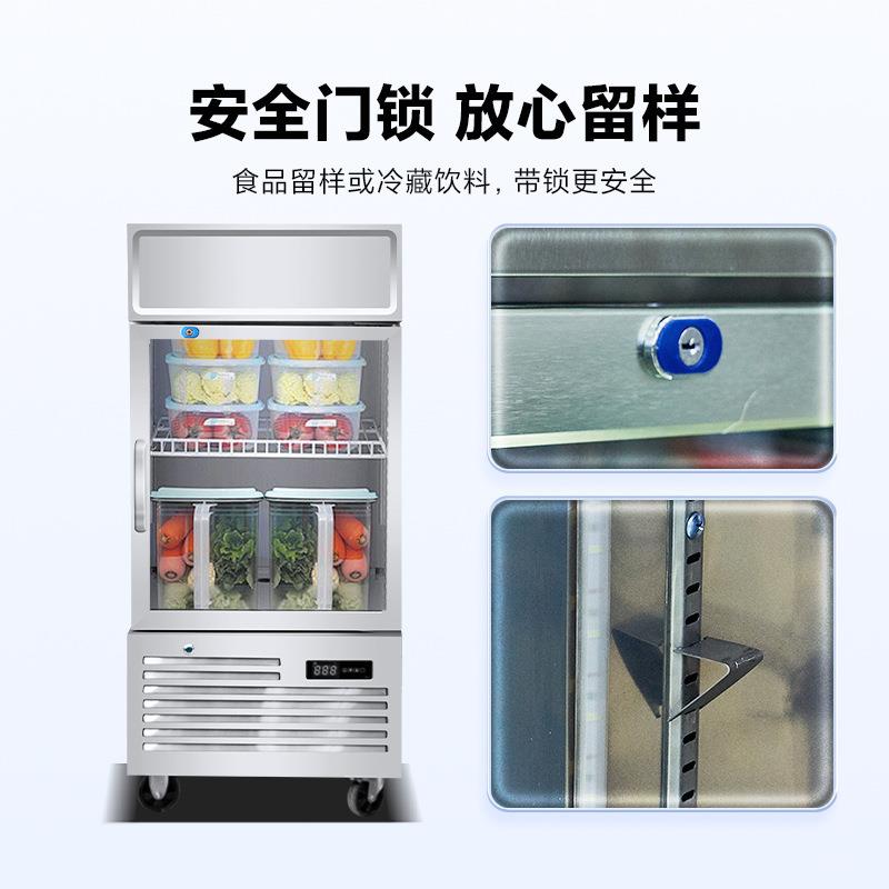 学校酒店专用留样冰柜商用冰箱小型带锁冷冻柜保鲜食品冷藏展示柜