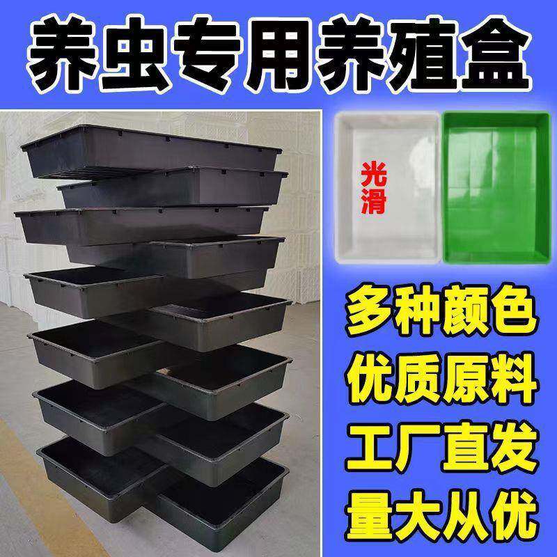 琵琶虫臭屁虫蛋白虫黄粉虫养殖盒大麦虫养殖工具塑料盒盒