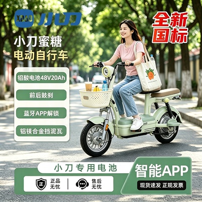 小刀电动车铅酸电池48V电动车