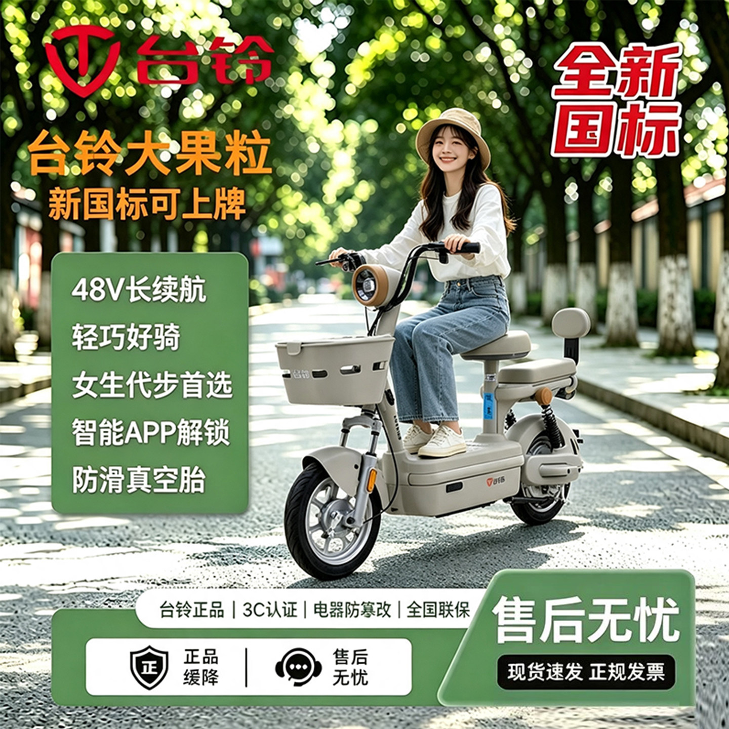 台铃大果粒铅酸电池48V20Ah续航