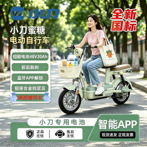 小刀蜜糖电动车铅酸电池48V20Ah