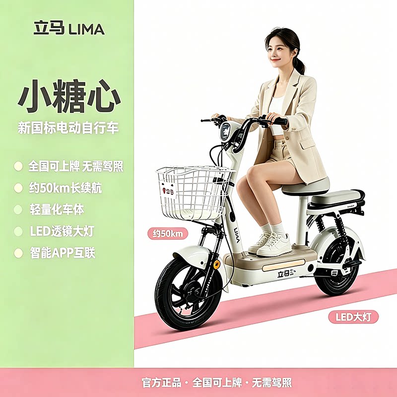 立马小糖心铅酸电池48V12Ah智能图片