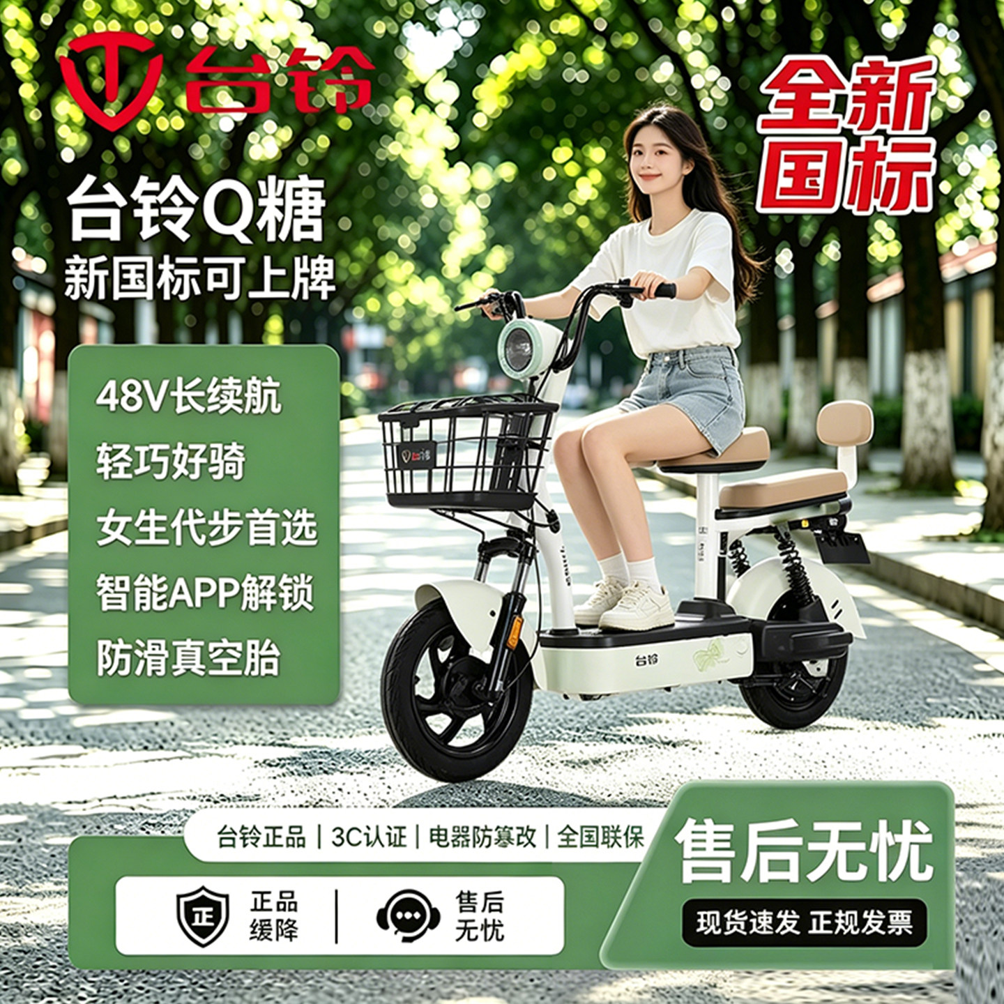 台铃Q糖铅酸电池48V13Ah电动车