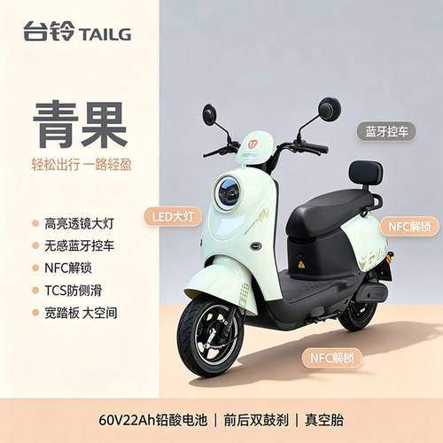 台铃铅酸电池60V22A电动摩托车