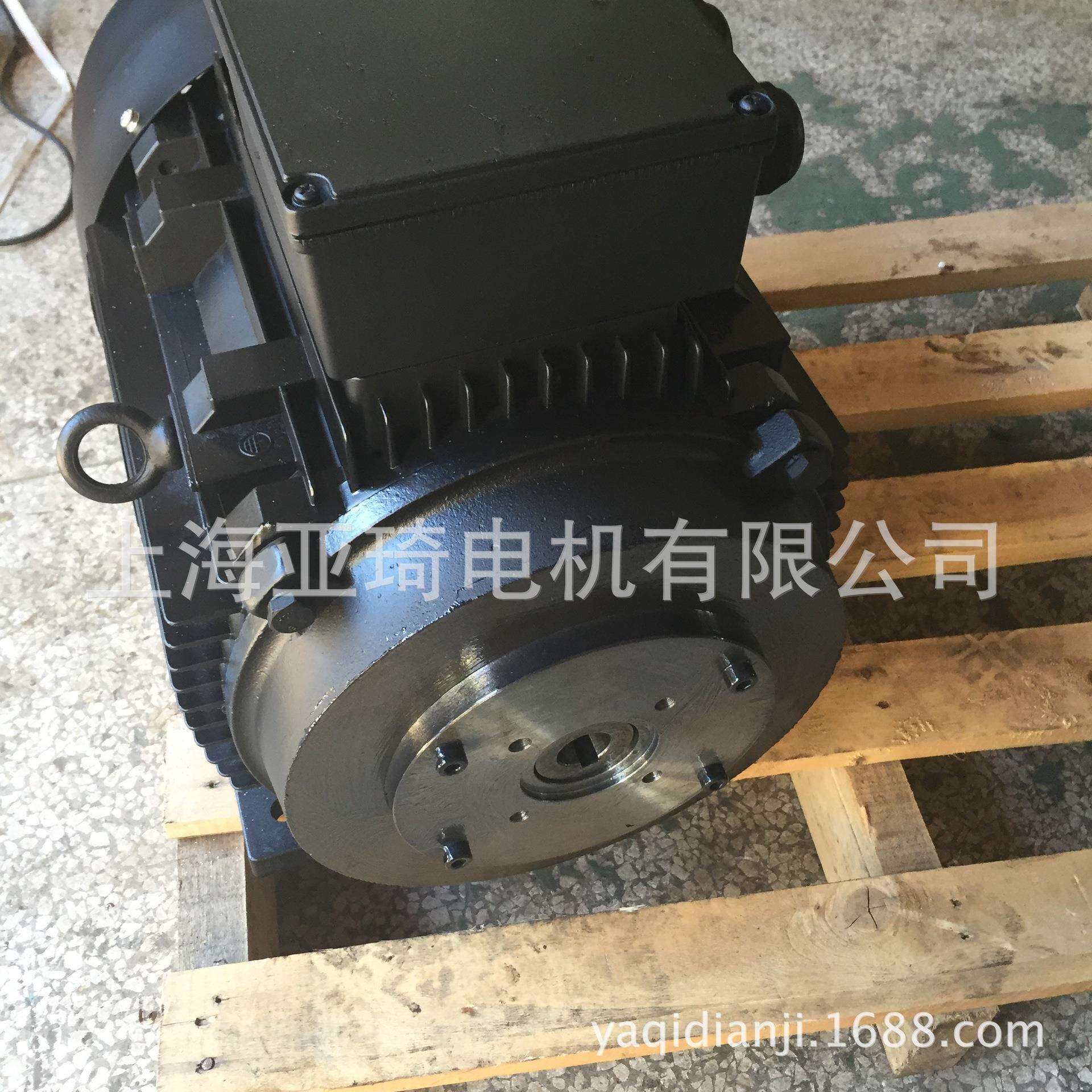 YE2-180L-4-22KW沪迪高压清洗机电机内轴电机