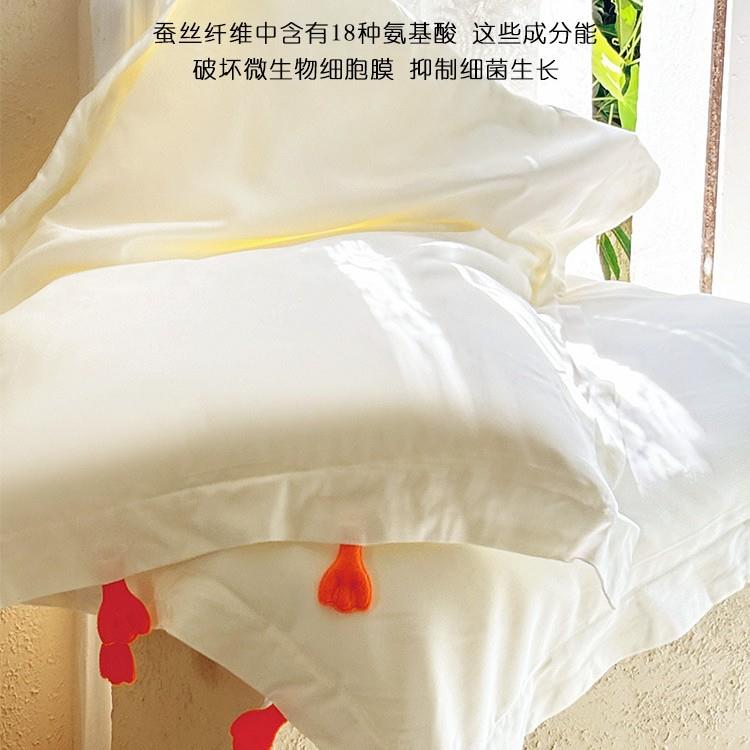 A类儿童蚕丝枕可拆洗枕头和枕套一套婴幼儿园宝宝可爱枕芯低整头图片