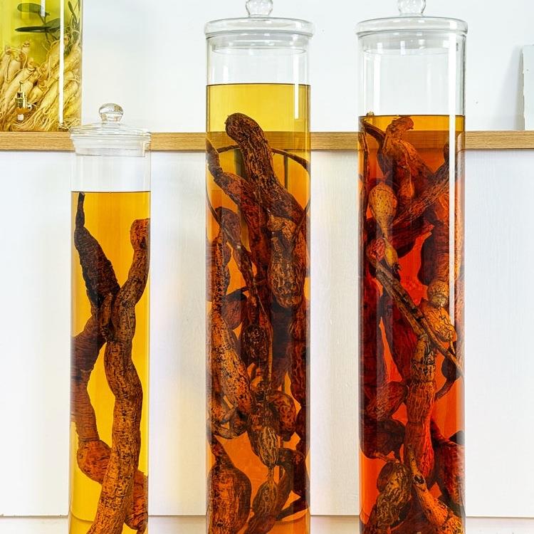 直筒高硼硅玻璃泡酒专用酒瓶带龙头人参牛大力鹿鞭高档密封储物罐