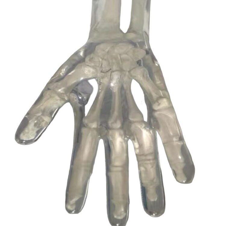 骨密度仪手部扫描模体