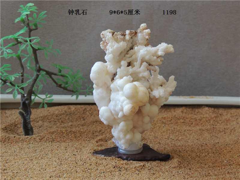 阿拉善戈壁石花钟乳石观赏摆件