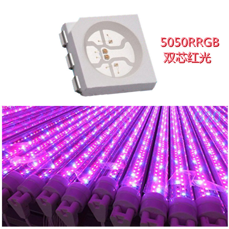 晶元5050RRGB水族灯LED贴片