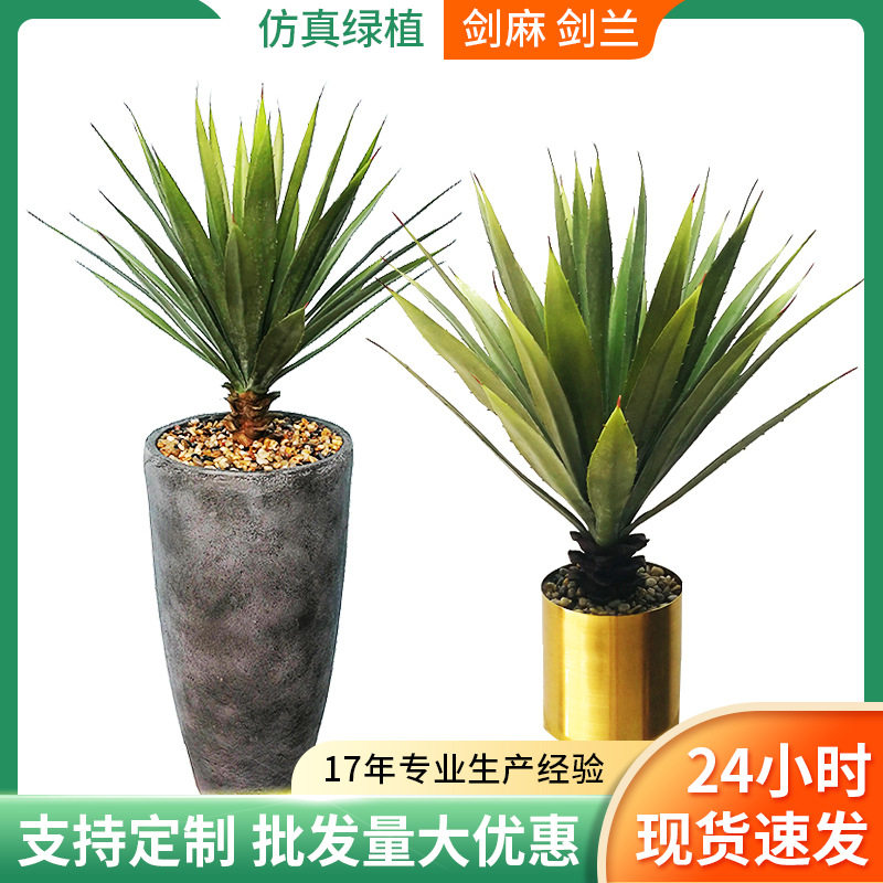 仿真绿植剑麻家居装饰植物盆栽后庭玄关园艺盆景热带绿植仿真剑兰