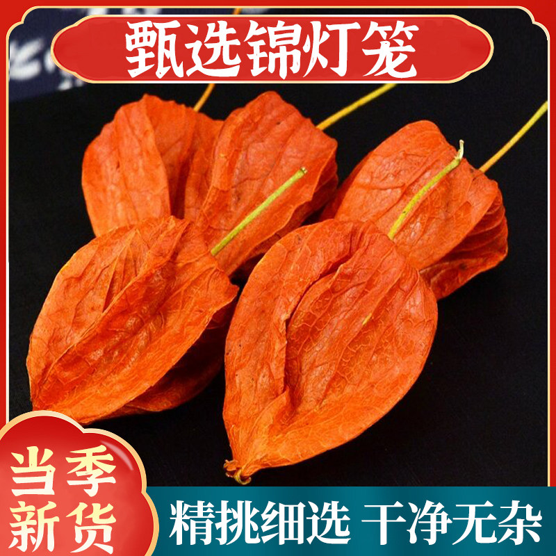 野生锦灯笼材精选东北红姑娘干果苦姑娘红菇娘灯笼草果红灯笼